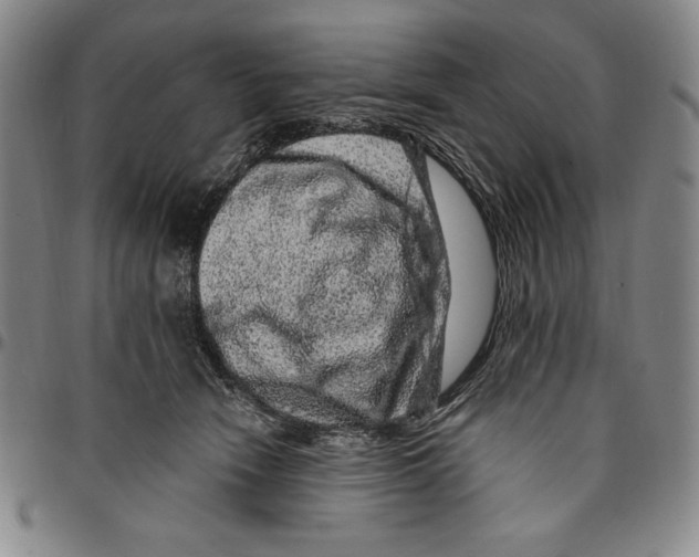X0000094380466200711301404