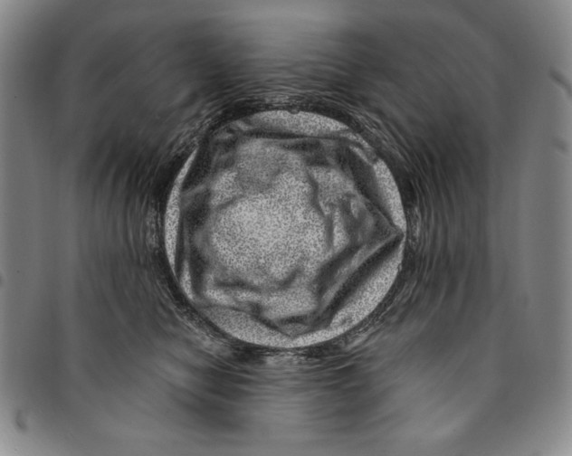 X0000094380470200711301404