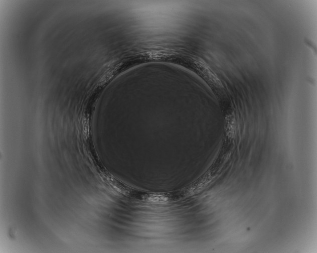 X0000094380471200711301404