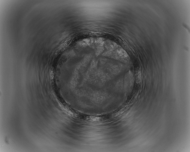 X0000094380472200711301404