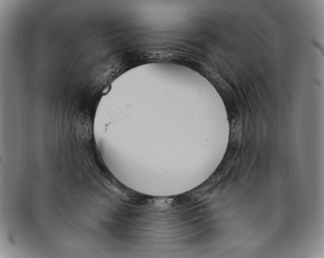 X0000094380474200711301404