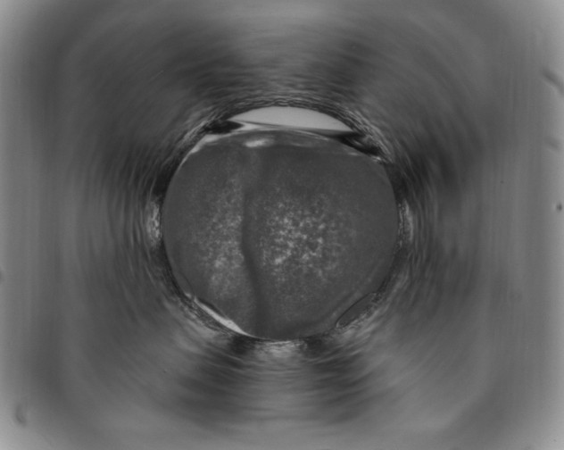 X0000094380479200711301404