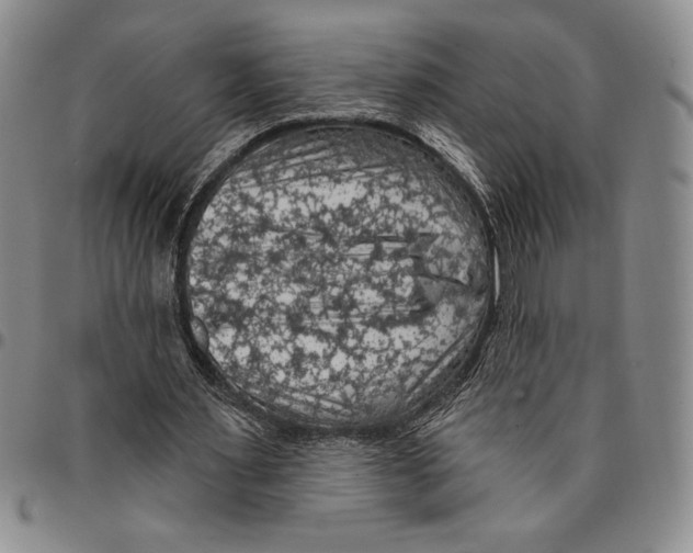 X0000094380483200711301404