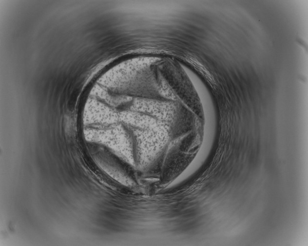 X0000094380484200711301404