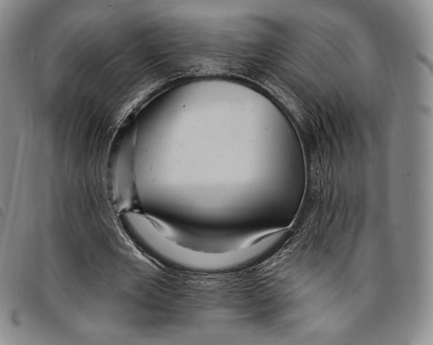 X0000094380485200711301404