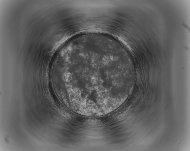 X0000094380487200711301404