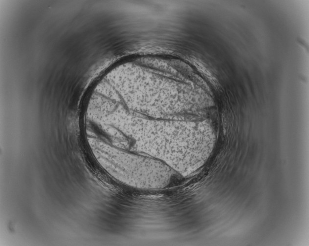 X0000094380488200711301404