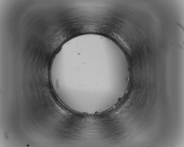 X0000094380489200711301404