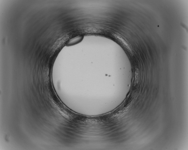 X0000094380490200711301404