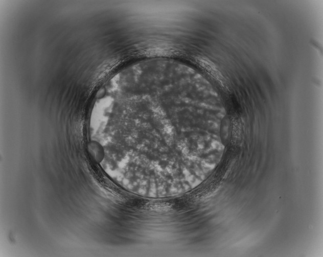 X0000094380491200711301404
