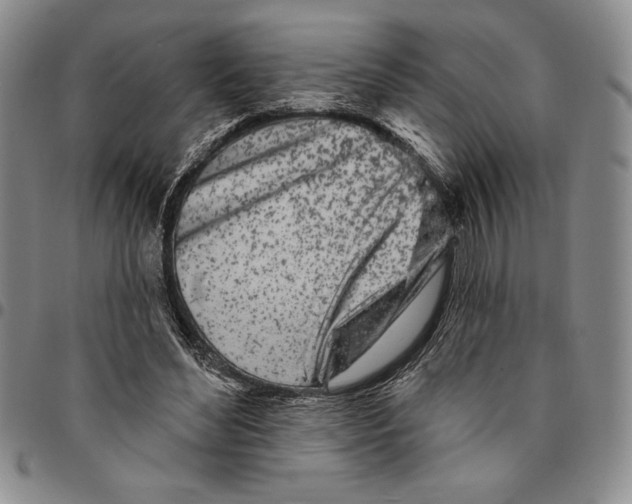 X0000094380492200711301404