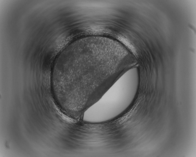 X0000094380493200711301404