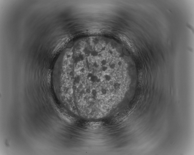 X0000094380495200711301403