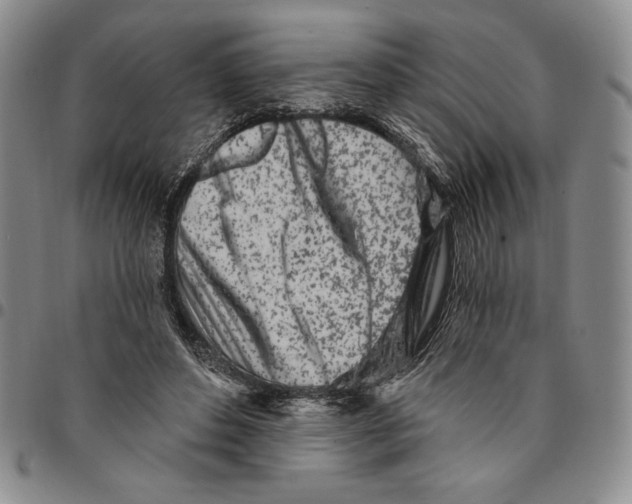 X0000094380496200711301403