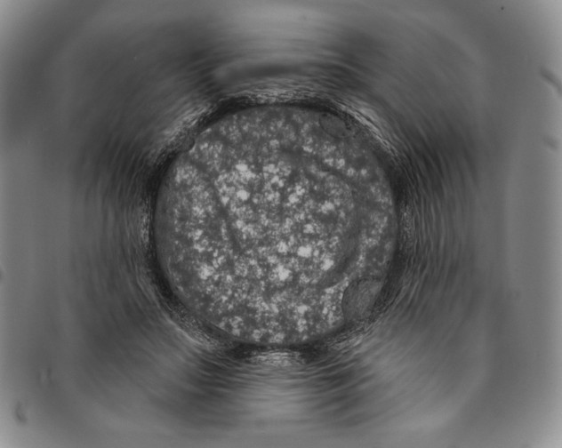 X0000094380499200711301403