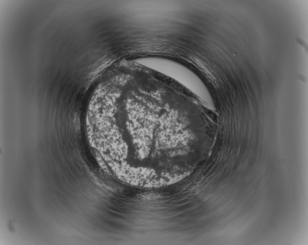 X0000094380500200711301403