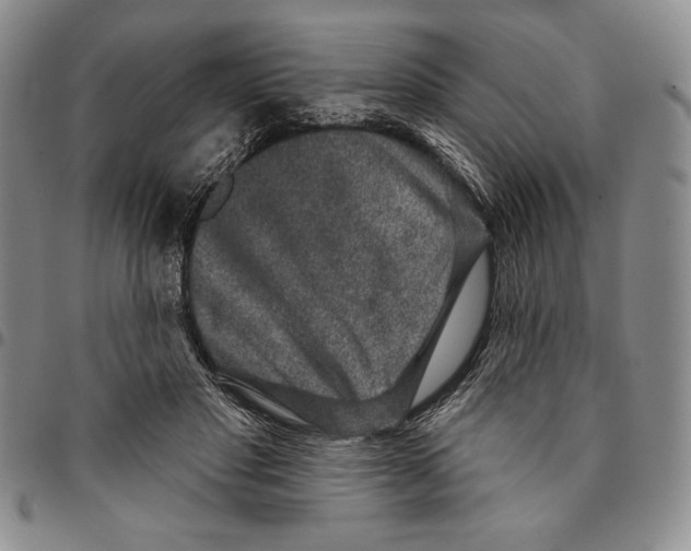 X0000094380501200711301403