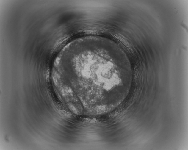 X0000094380502200711301403