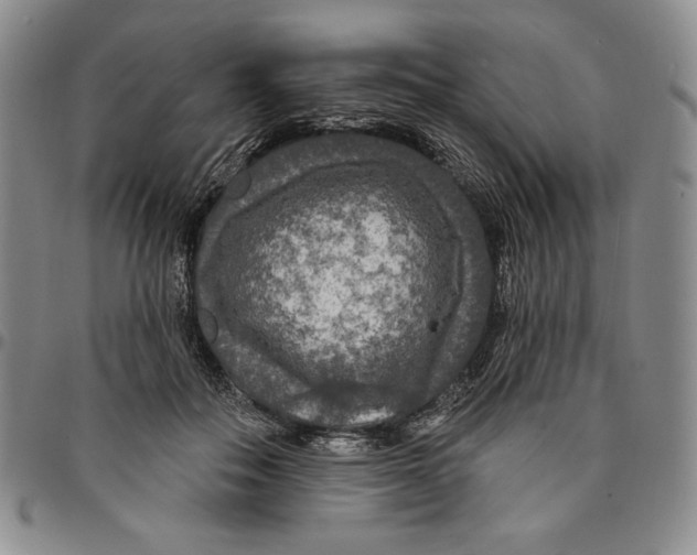 X0000094380506200711301403