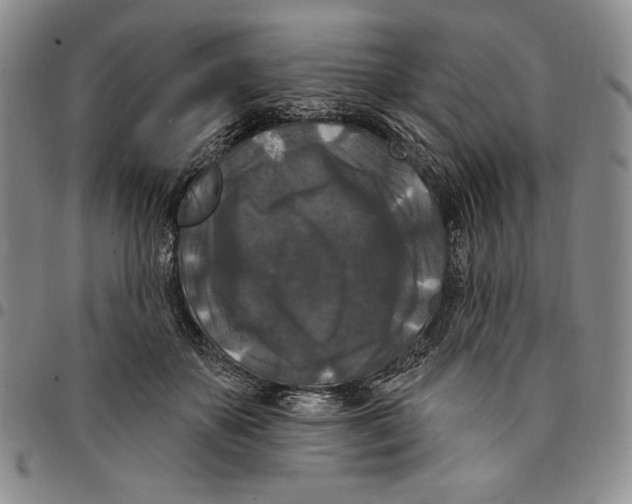 X0000094380507200711301403