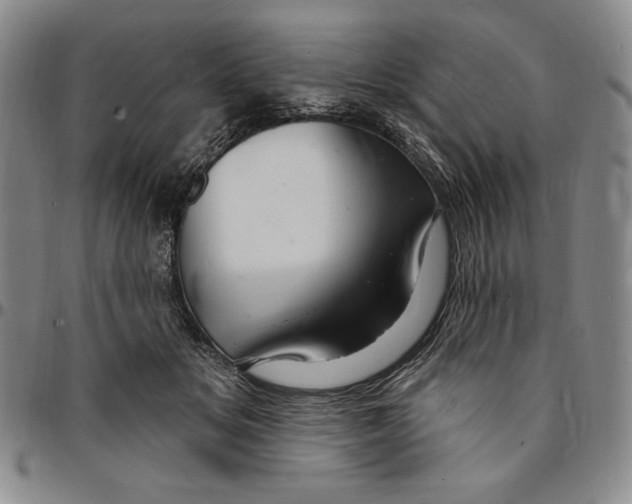 X0000094380509200711301403