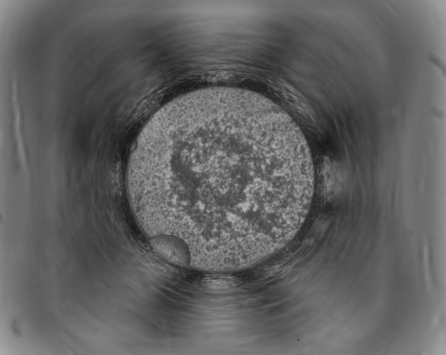 X0000094380510200711301403