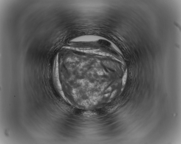 X0000094380515200711301403