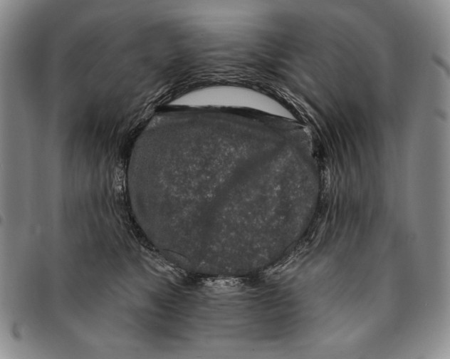 X0000094380517200711301403