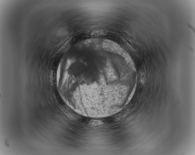 X0000094380519200711301403
