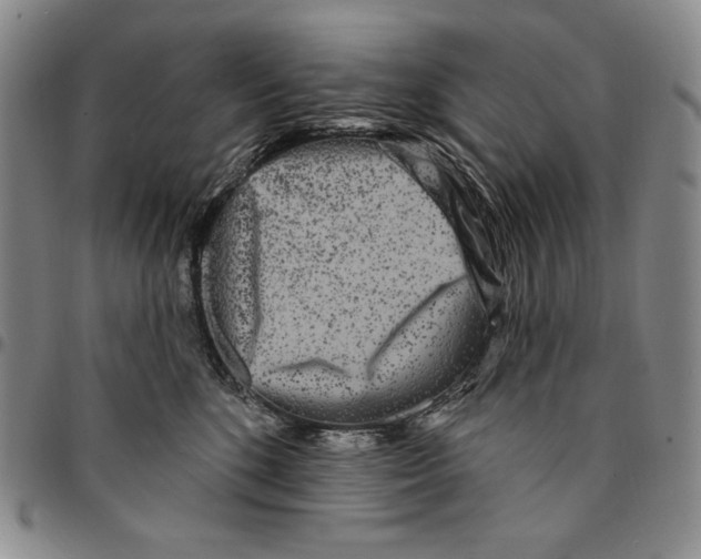 X0000094380520200711301403