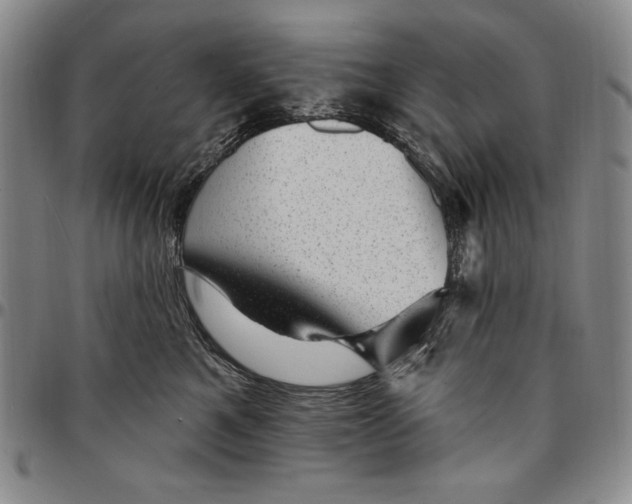 X0000094380521200711301403