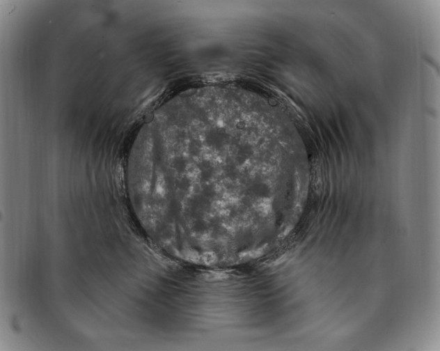 X0000094380523200711301403