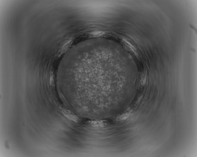 X0000094380524200711301403