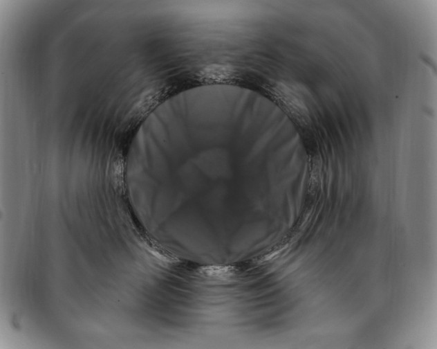 X0000094380526200711301403