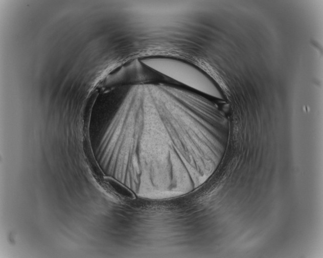X0000094380530200711301402
