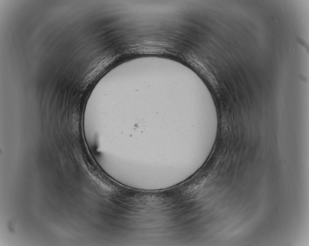 X0000094380533200711301402