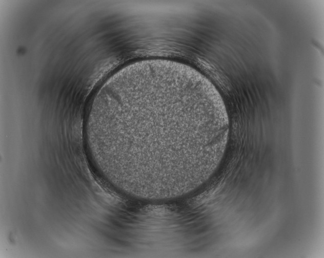 X0000094380534200711301402