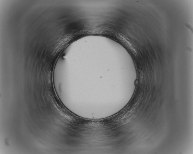X0000094380537200711301403