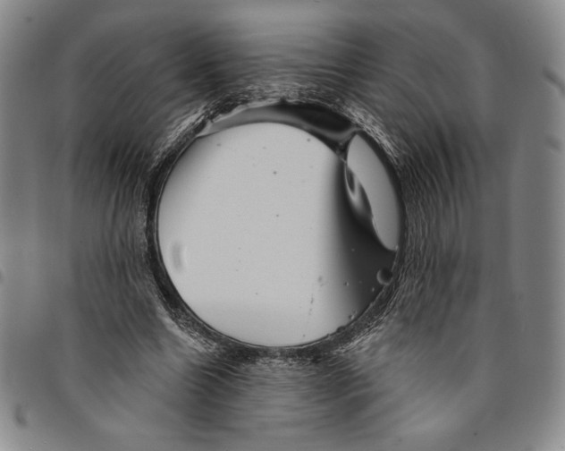 X0000094380538200711301403