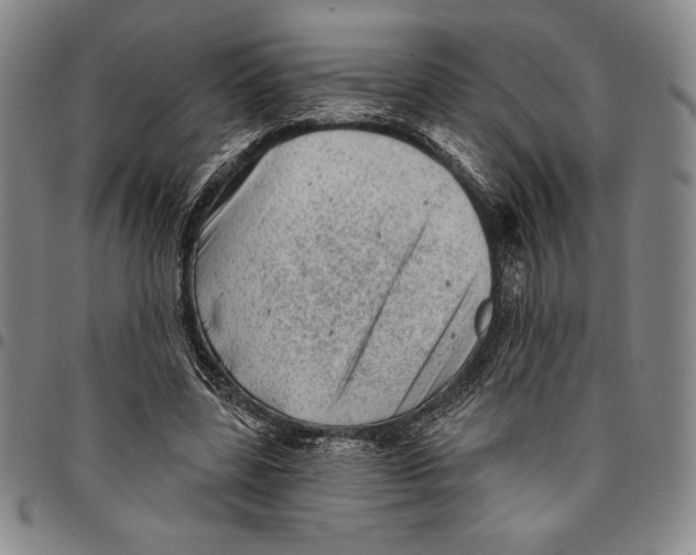 X0000094380539200711301403