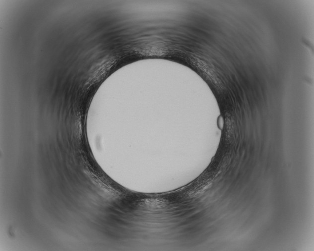 X0000094380541200711301403