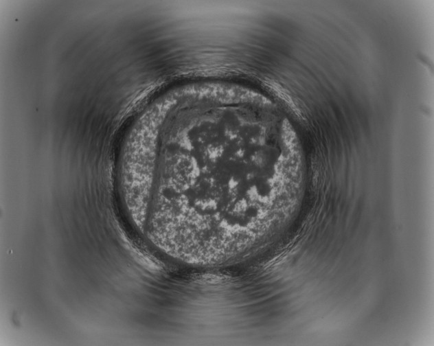 X0000094380542200711301403