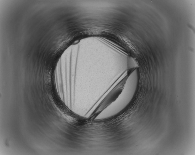 X0000094380543200711301403