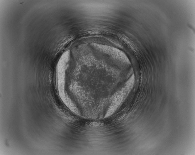X0000094380546200711301403