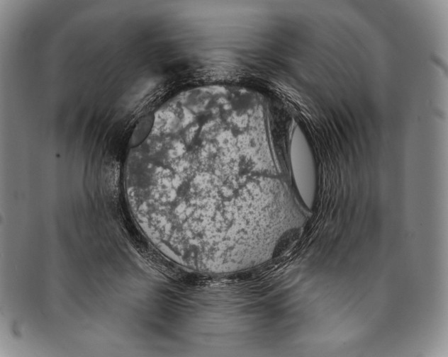 X0000094380550200711301403