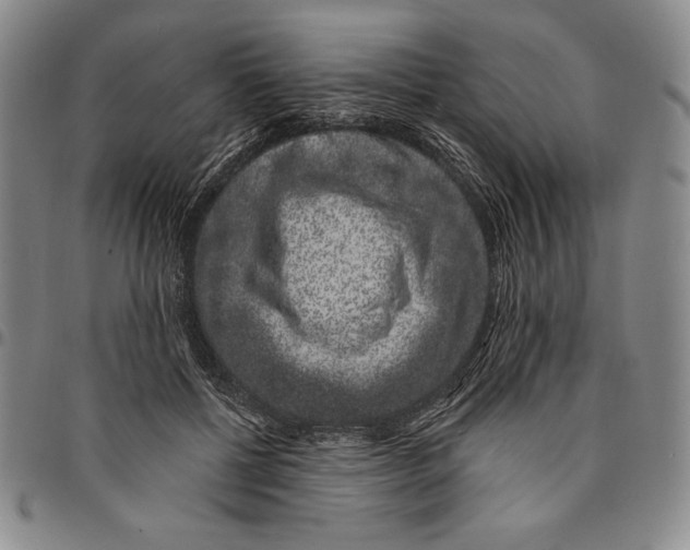 X0000094380552200711301403