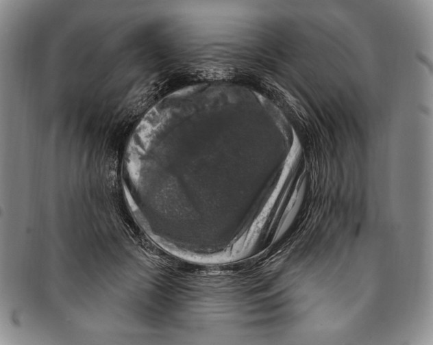 X0000094380553200711301403