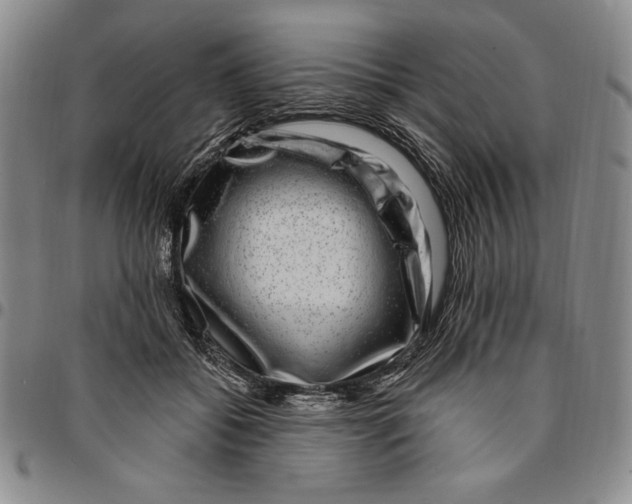 X0000094380556200711301403