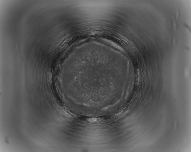 X0000094380558200711301403