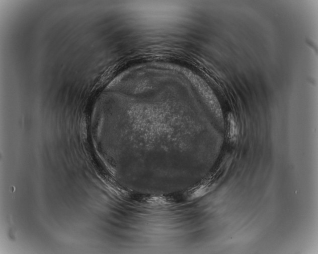 X0000094380562200711301403